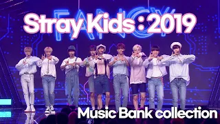 Stray Kids 스트레이 키즈 | MIROH, Side Effects : 2019 Stage | Music Bank Collection | Jammy PLAY | KBS