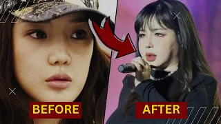 Korean Celebrities With Life-Changing Plastic Surgeries