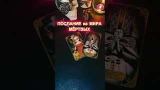 ПОСЛАНИЕ ВАМ!#shorts,#tarot,#таро