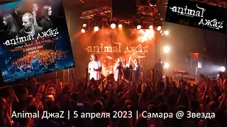 Animal ДжаZ - Отъебись от себя