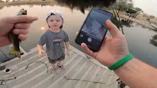 Catching Largemouth Bass and Bluegill at Contra Loma Reservoir