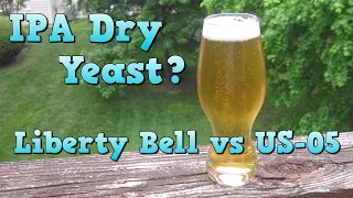 Dry Yeast for an IPA? M36 Liberty Bell vs US-05