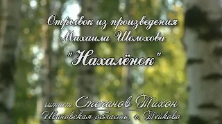 Степанов Тихон. Отрывок из рассказа Михаила Шолохова "Нахалёнок"