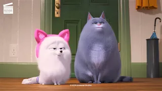 The Secret Life Of Pets 2 (6/10) | How to be a cat | Cartoon For Kids