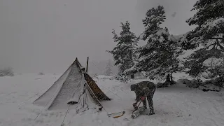 Hot Tent Camping with my Dog in Snow and Freezing Winter Conditions