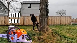 Cutting a Back-Leaning Tree with a saw that Won't Run