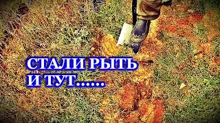 НАХОДКА В СТАРОМ ОВРАГЕ У СТАРОГО ПРУДА!