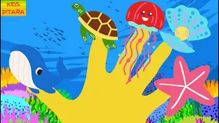 Sea Animals Finger Family | Nursery Rhymes and Songs from Kids Pitara TV