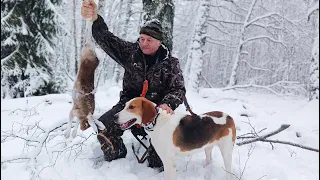 По первому СНЕГУ! Охота на ЗАЙЦА! Сезон 2023 - 2024г. #3