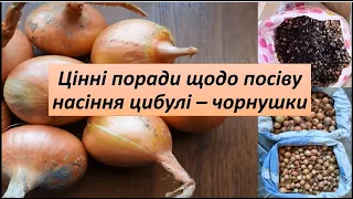 Цінні поради щодо посіву насіння цибулі - чорнушки. Хороший урожай цибулі без витрат на насіння