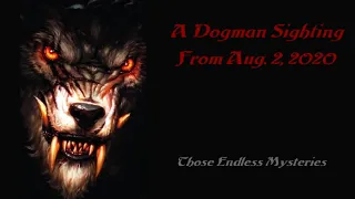 A Dogman Sighting From Aug  2, 2020 Part 1