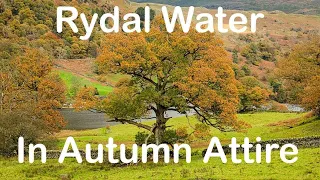 Autumnal Rydal Water - Landscape Photography