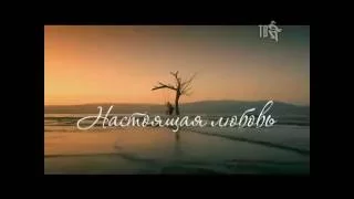 Настоящая любовь - Шансон ТВ (Петр Казаков)