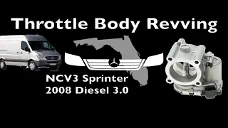 Revving NCV3 Sprinter, Throttle Body Problem