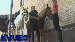 Meet the officers of the Austin Police Department's Mounted Patrol Unit | KVUE