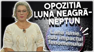 Opoziția Lună Neagră - Neptun în Pești. CAMELIA PĂTRĂȘCANU anunță TENSIUNI și FRICI