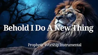 Prophetic Intercession Worship Instrumental -BEHOLD I DO A NEW THING