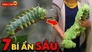 🔥 7 Bí Ẩn Ly Kỳ và Thú Vị Về loài Sâu Mà 99% Mọi Người Chưa Biết | Kính Lúp TV