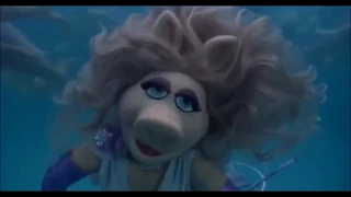 Lucie Jones vs Miss Piggy- Never Give Up on You- Eurovision mix -video edit