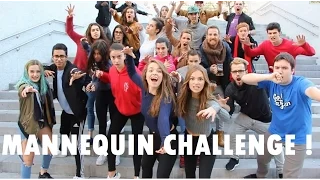 BEST MANNEQUIN CHALLENGE (IN PUBLIC !!) !!  #MannequinChallenge