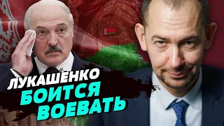 В войну с Украиной Беларусь не вступит, они держатся на расстоянии – Роман Цимбалюк