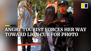 Chinese tourist scolds security guard while trying to take photo of lion cub