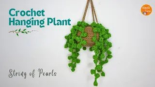 Crochet Hanging Plant - Crochet String of Pearls Succulent| Boho Car Plant Crochet Hanging Basket 🪴