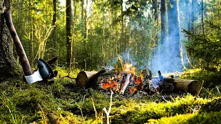 Звуки костра в лесу.(Fire sounds in the forest.30 minutes of meditation)