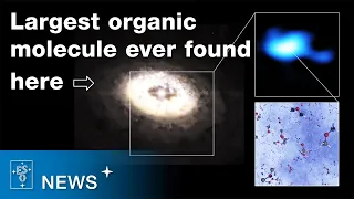 Largest Molecule yet Spotted in a Planet-forming Disc (ESOcast 253 Light)