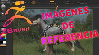 Como insertar IMÁGENES DE REFERENCIA en Zbrush