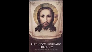 Orthodox Catechesis and Continuing Education Class: God and the Salvation of Mankind (Part V)