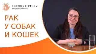 🆘 Диагностика, лечение и профилактика рака у собак и кошек. Рак у собак и кошек. Биоконтроль. 18+