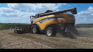 Kradzione żniwa 2017 z New Holland