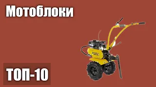 ТОП—10. Лучшие мотоблоки (для участка, дачи/деревни). Рейтинг 2021 года!