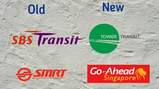 Buses in Singapore | Types of Buses | SG Buses | Sg Today | Public Transportation in Singapore