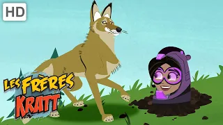 Les Frères Kratt | Appel de réveil de la marmotte | Épisode Complet | Saison 2