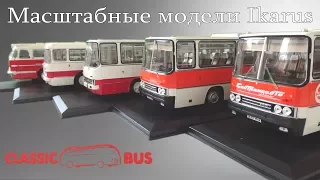 Автобусы Ikarus (1:43) - коллекция масштабных моделей от ClassicBus | Часть 1