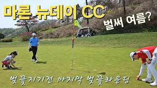 마론뉴데이CC - 벚꽃지기전 즐기는 마지막 벚꽃라운딩