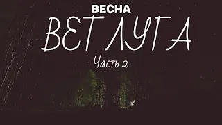 Открытие сезона на Ветлуге. Ищем берёзовый сок. Часть 2.