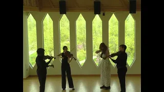 Bowen Fantasie Quartet for 4 Violas