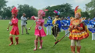 Juara Harapan 1 Lomba Drumband Tingkat SD di Kab. Ngawi  (Drumband Cahaya Gema Nada SDN Gerih 5)