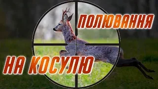 ВДАЛЕ ТРОФЕЙНЕ ПОЛЮВАННЯ НА КОСУЛЮ