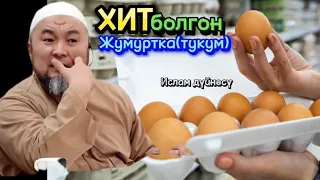 Чубак ажы. Хит болгон жумуртка(тукум).....🤣🤣