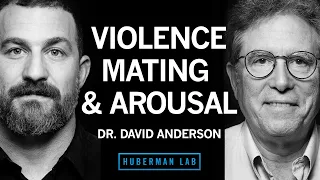 Dr. David Anderson: The Biology of Aggression, Mating, & Arousal | Huberman Lab Podcast #89