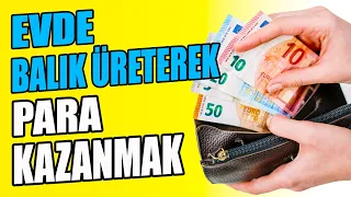 EVDE BALIK ÜRETEREK PARA KAZANMAK - Balıkları Nereye Satabiliriz? Hangi Balıkları Seçmeliyiz?