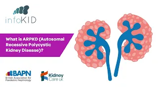 What is ARPKD (Autosomal Recessive Polycystic Kidney Disease)? | Kidney disease | infoKID