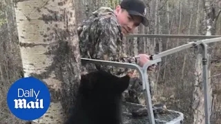 Hunter has close encounter with bear cub in tree stand