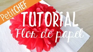 Tutorial deco DIY, Flor de papel crepé para Navidad, Petitchef.es, stop motion, paso a paso