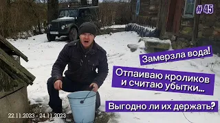 Замерзла вода! Отпаиваю кроликов и считаю убытки... Выгодно ли их держать?