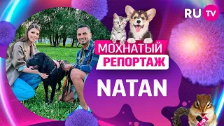 Мохнатый репортаж: Natan